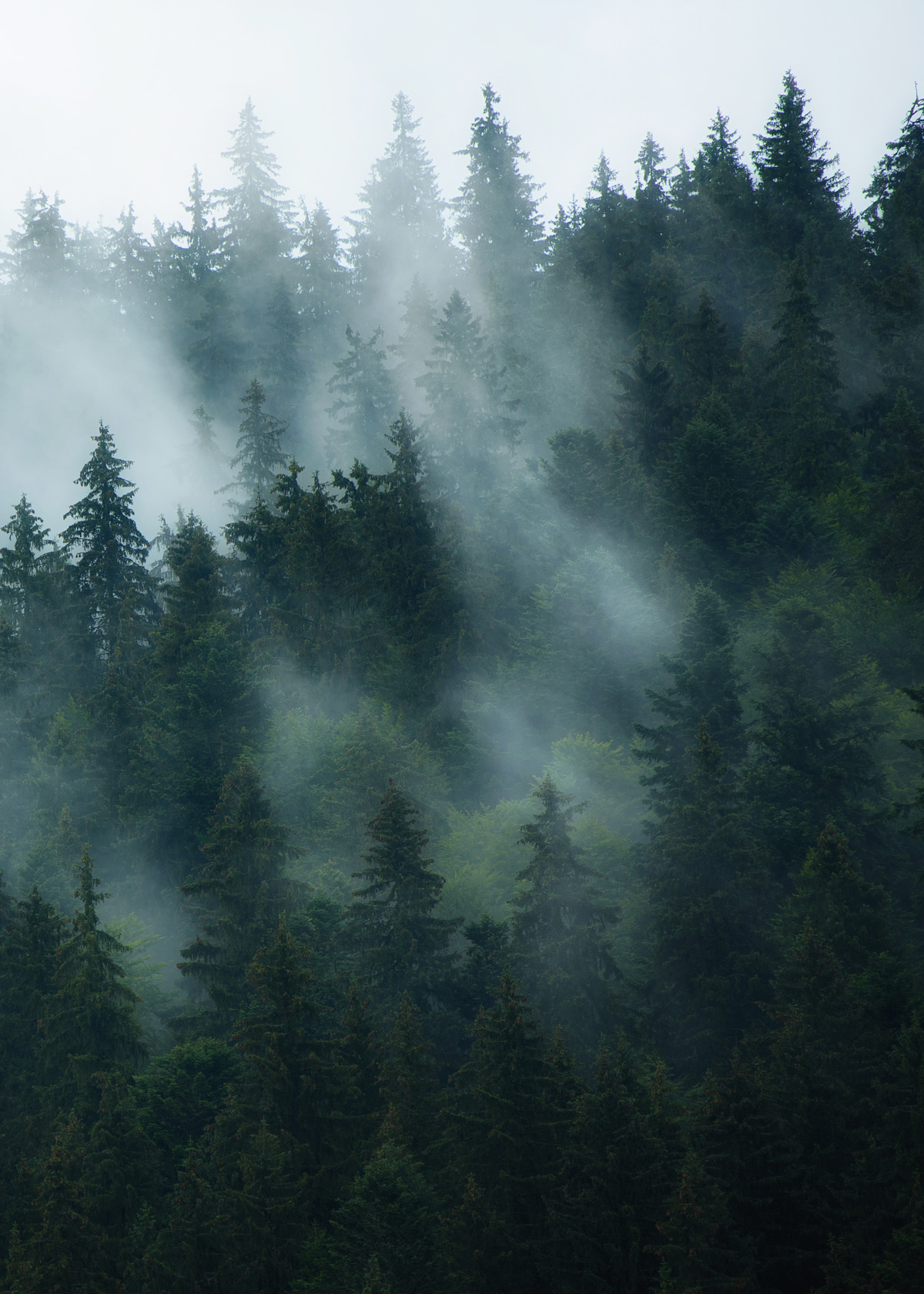 Header-Image_02_1200width