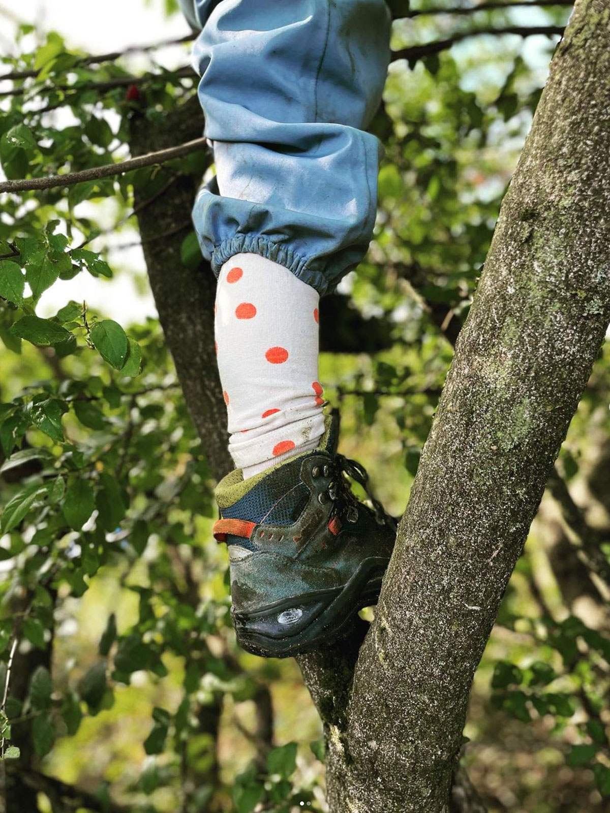 WALDKINDER_img_1200x1600px-06